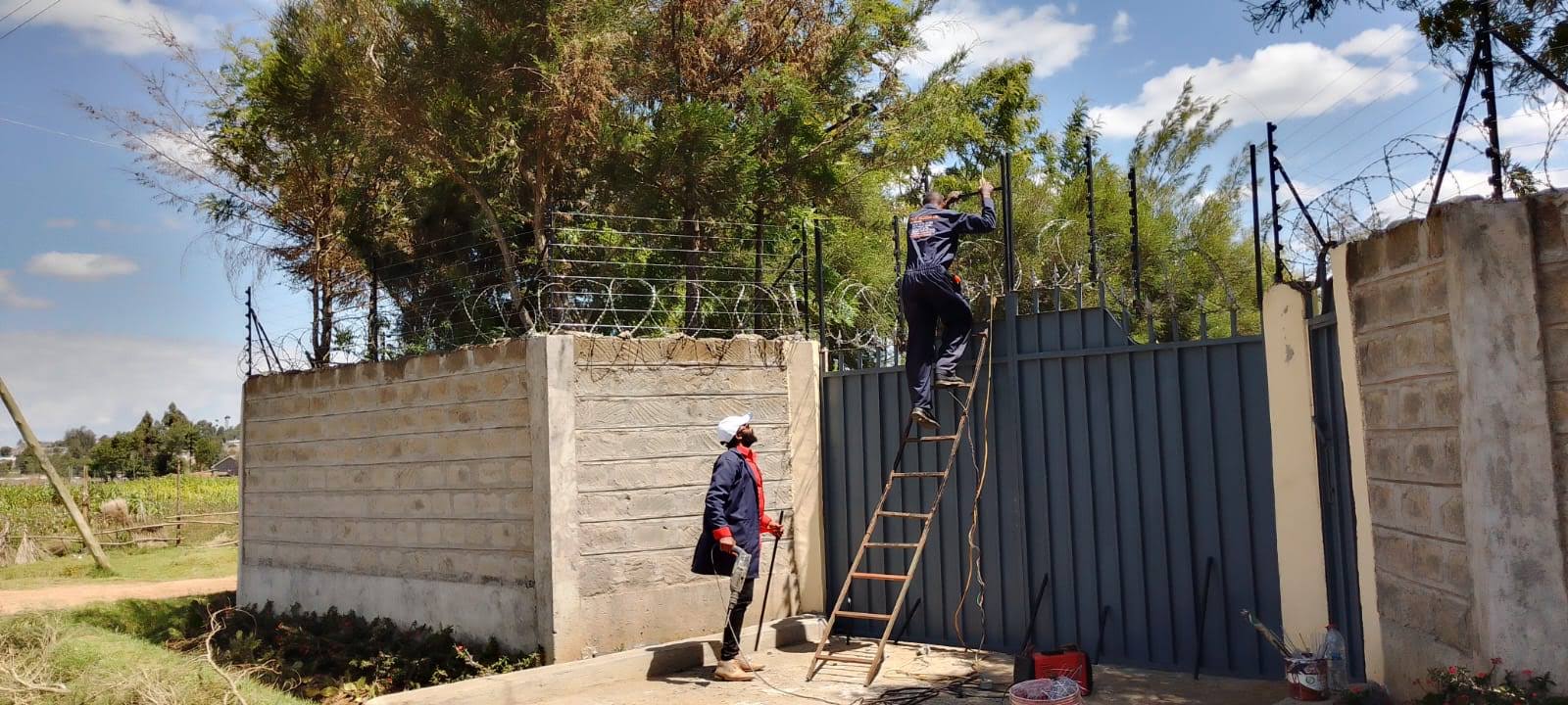Elatec technicians installing electric fence wiring using a ladder